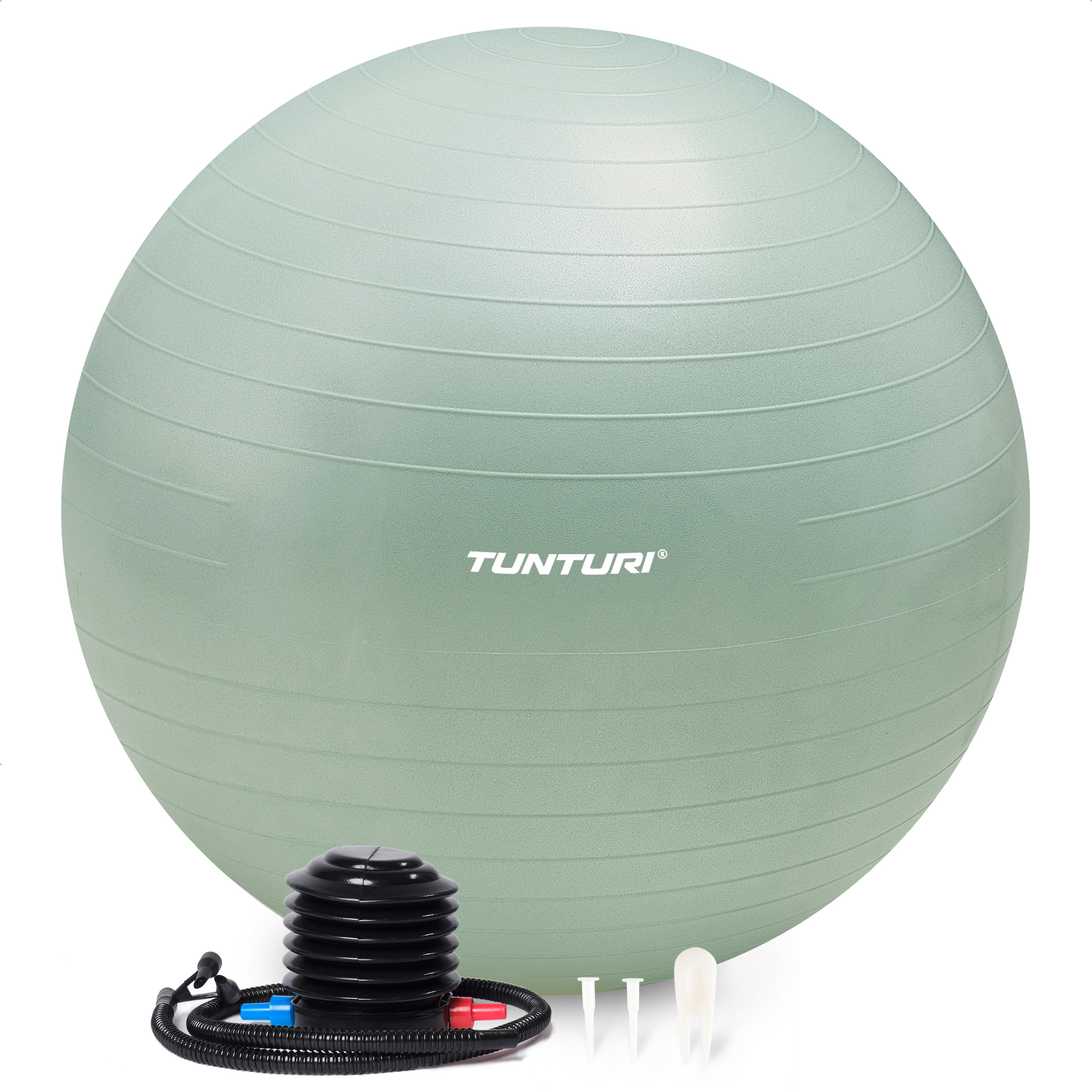 Tunturi Anti Burst Fitness bal met Pomp | Yoga bal 65 cm | 220 kg gebruikersgewicht | Incl Trainingsapp | Mint