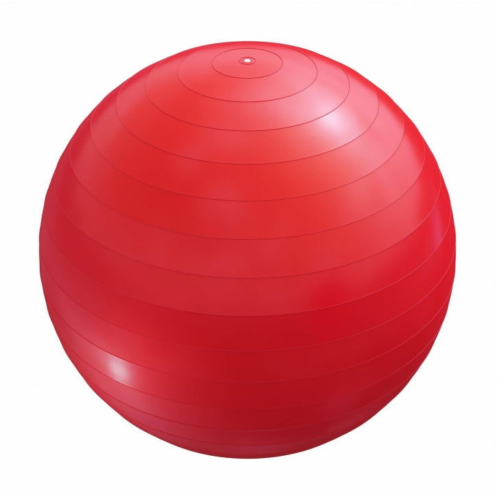 Fitnessbal Rood 75 cm incl. pomp