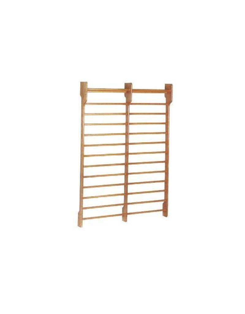 Toorx Dual Wallbar - Dubbele wandrek 180 x 250